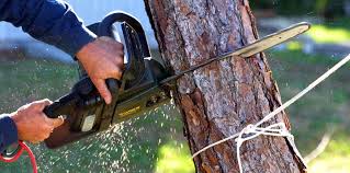 Best Aeration Services  in Coto De Za, CA