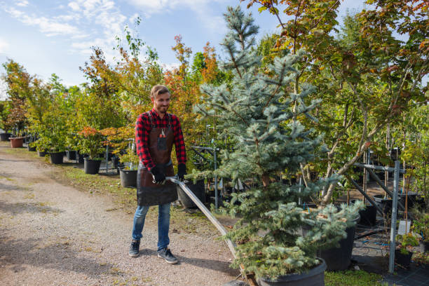 Best Tree and Shrub Care  in Coto De Za, CA